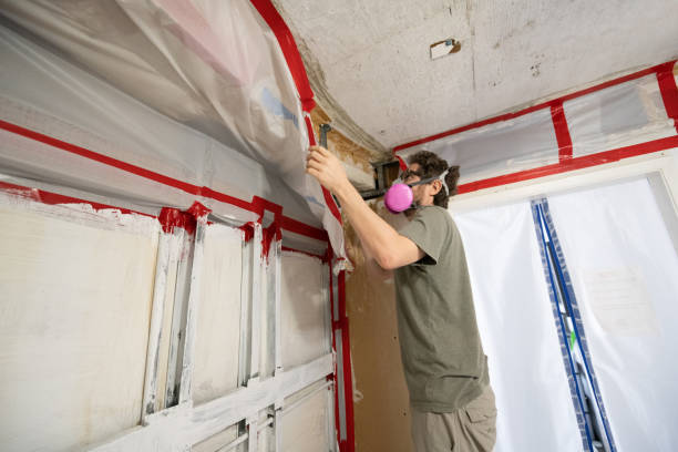 Best Water Damage & Mold Remediation  in Cartersville, GA